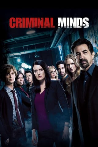Season 13