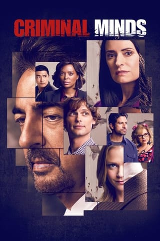 Season 14